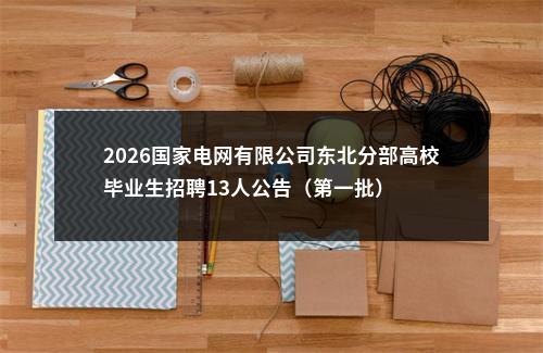 2026国家电网有限公司东北分部高校毕业生招聘13人公告（第一批） 图片