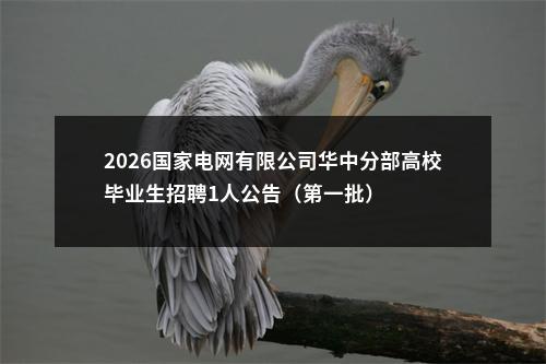 2026国家电网有限公司华中分部高校毕业生招聘1人公告（第一批） 图片