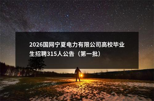 2026国网宁夏电力有限公司高校毕业生招聘315人公告（第一批） 图片
