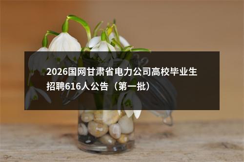 2026国网甘肃省电力公司高校毕业生招聘616人公告（第一批） 图片