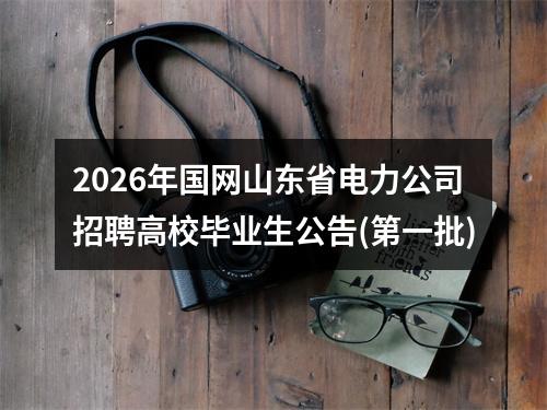 2026年国网山东省电力公司招聘高校毕业生公告(第一批) 图片