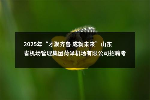 2025年“才聚齐鲁 成就未来”山东省机场管理集团菏泽机场有限公司招聘考试须知（附进入测试环节人员名单） 图片