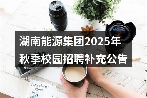 湖南能源集团2025年秋季校园招聘补充公告 图片