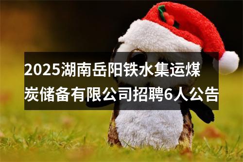 2025湖南岳阳铁水集运煤炭储备有限公司招聘6人公告 图片