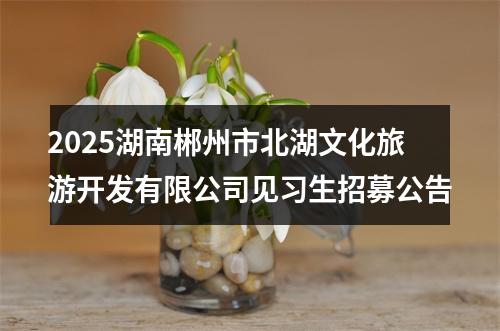 2025湖南郴州市北湖文化旅游开发有限公司见习生招募公告 图片
