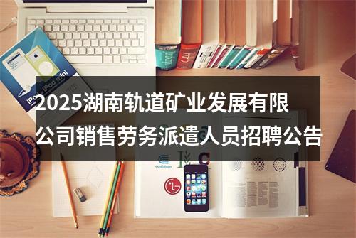 2025湖南轨道矿业发展有限公司销售劳务派遣人员招聘公告 图片