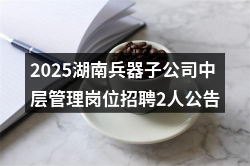 2025湖南兵器子公司中层管理岗位招聘2人公告 图片