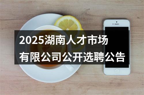 2025湖南人才市场有限公司公开选聘公告 图片