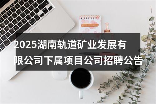 2025湖南轨道矿业发展有限公司下属项目公司招聘公告 图片