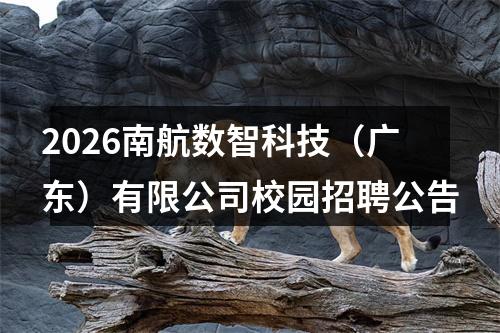 2026南航数智科技（广东）有限公司校园招聘公告 图片