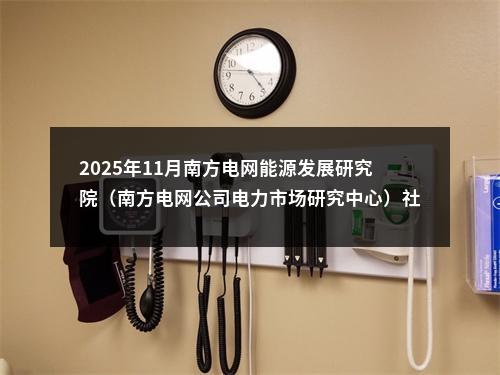 2025年11月南方电网能源发展研究院（南方电网公司电力市场研究中心）社会招聘12人公告 图片