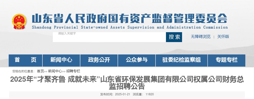 2025年山东省环保发展集团有限公司权属公司财务总监招聘公告 图片