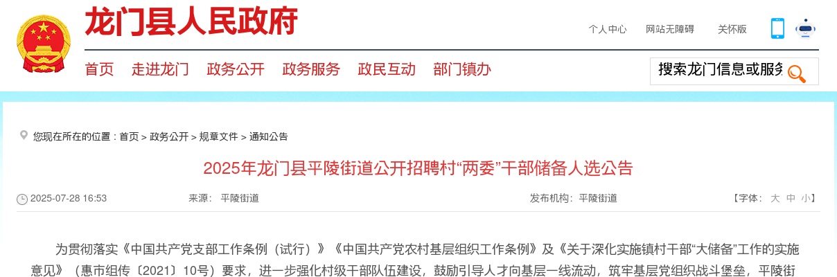 2025广东惠州市龙门县平陵街道招聘村“两委”干部储备人选16人公告 图片
