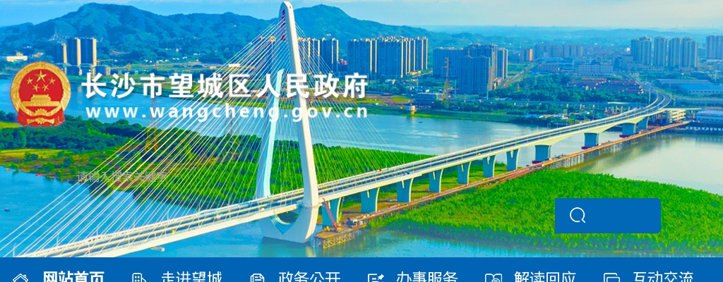 2025年湖南长沙市望城区卫健系统事业单位招聘专业技术人员32人公告 图片