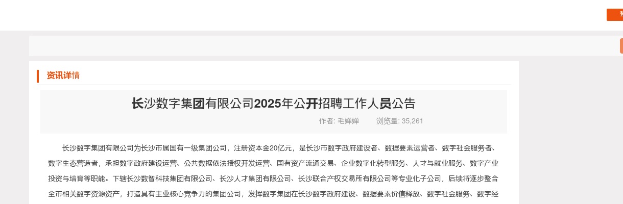 2025年湖南长沙数字集团有限公司招聘42人公告 图片