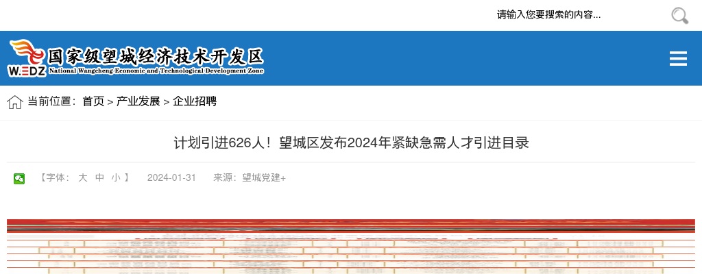 2024长沙望城区紧缺急需人才引进目录（626人） 图片