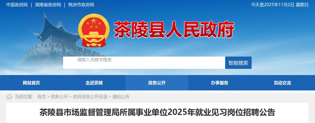 2025年湖南株洲茶陵县市场监督管理局所属事业单位就业见习岗位招聘20人公告 图片