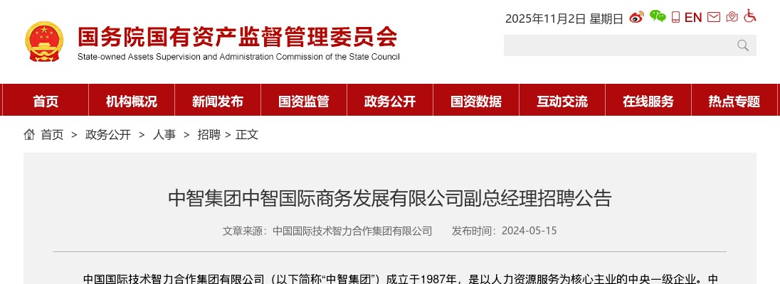 2024年中智集团中智国际商务发展有限公司副总经理招聘1人公告 图片