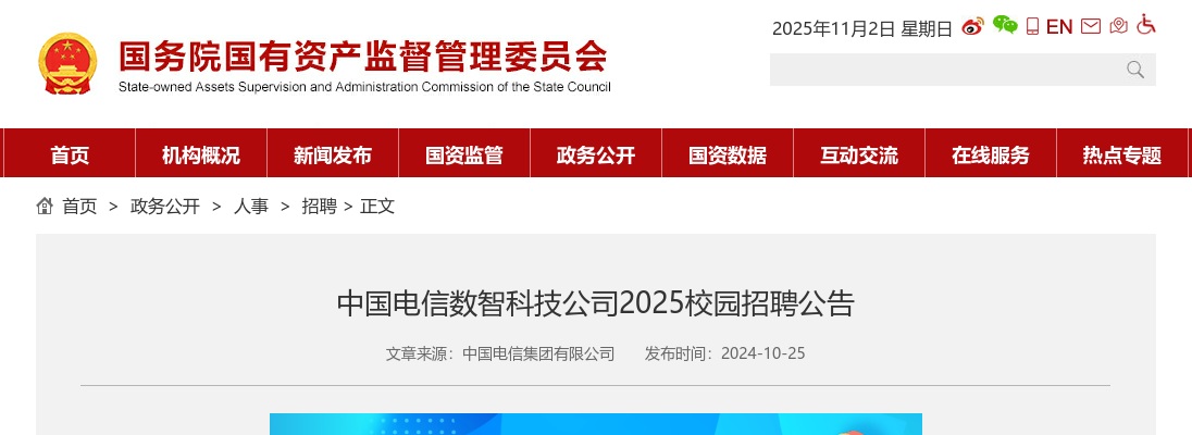 2025中国电信数智科技公司校园招聘公告 图片