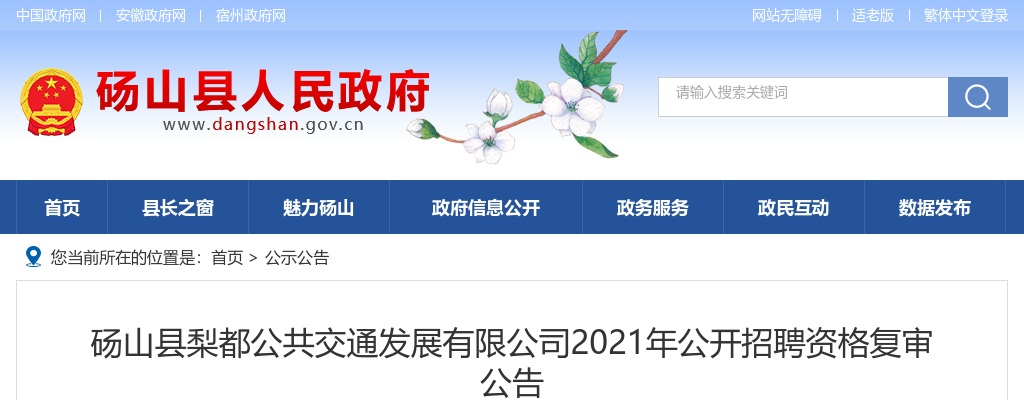 砀山县梨都公共交通发展有限公司2021年公开招聘资格复审公告 图片