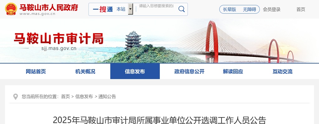 2025年马鞍山市审计局所属事业单位选调1人公告 图片