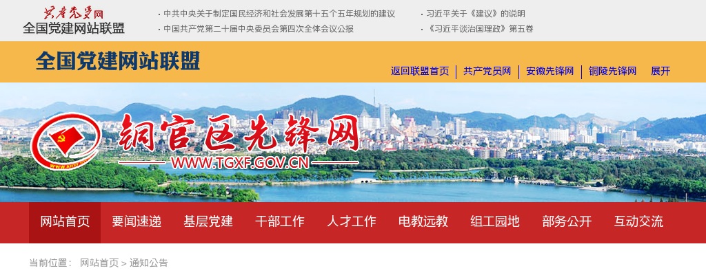 2023铜陵市铜官区公开引进急需紧缺专业人才10人公告 图片