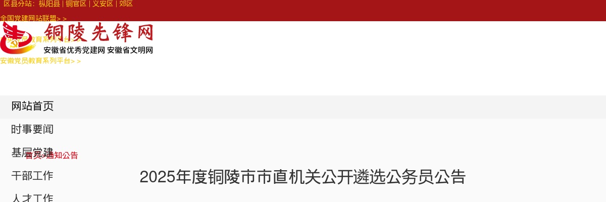 2025年铜陵市市直机关公开遴选公务员28名公告 图片