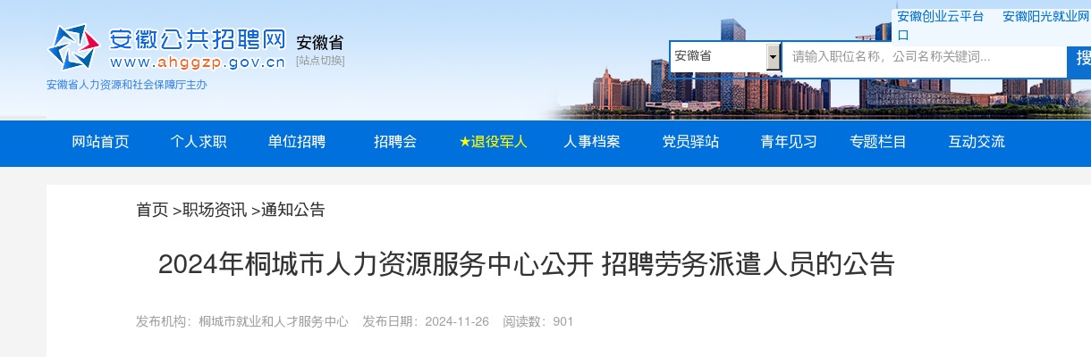 2024年安庆桐城市人力资源服务中心招聘4人公告 图片