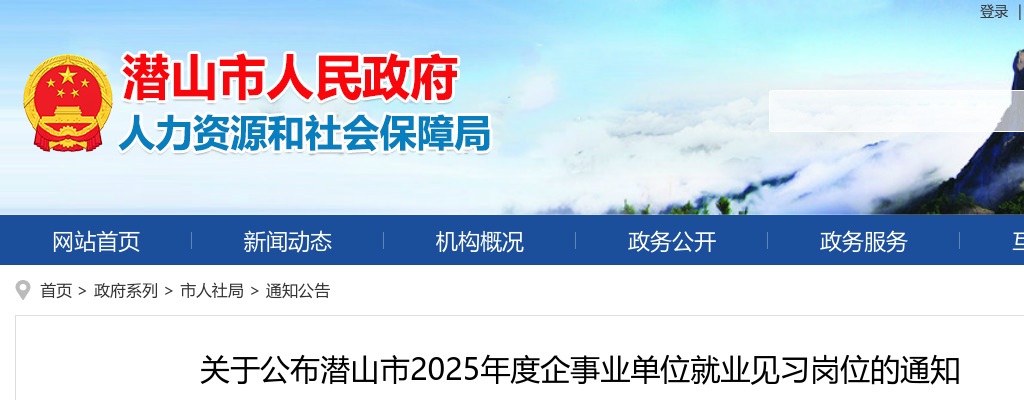 2025年安庆潜山市企事业单位就业见习岗位招募16人公告 图片