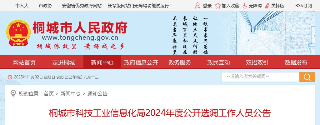 2024年安庆桐城市科技工业信息化局选调工作人员公告 图片