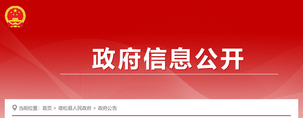 2023安徽安庆市宿松县部分事业单位招聘62人公告 图片