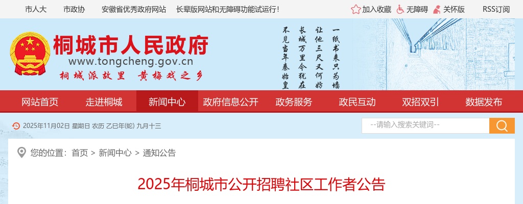 2025年安庆桐城市公开招聘社区工作者14名公告 图片