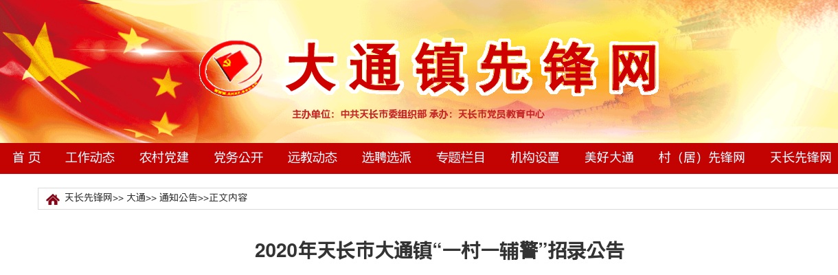 2020滁州天长市大通镇“一村一辅警”招录8人公告 图片