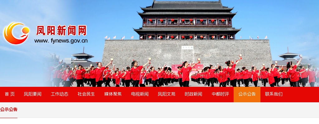 2021年滁州凤阳公立医院招聘60人公告 图片