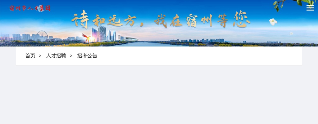 2024年宿州灵璧县面向村（社区）党组织书记招聘乡镇事业编制7人公告 图片