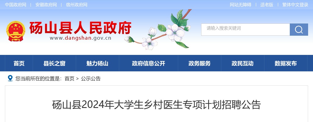 2024年宿州砀山县大学生乡村医生专项计划招聘9人公告 图片