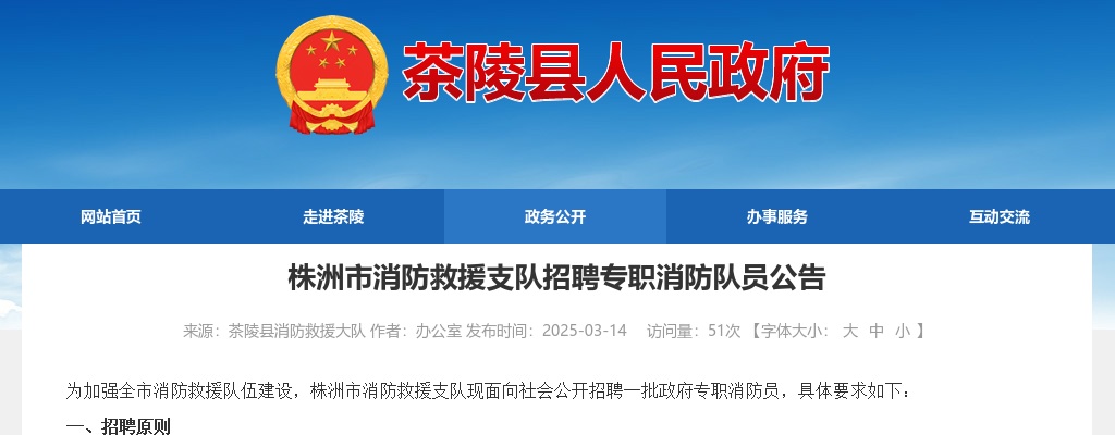 2025湖南株洲市消防救援支队公开招聘50名专职消防队员公告 图片