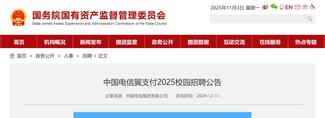 2025中国电信翼支付校园公开招聘公告 图片