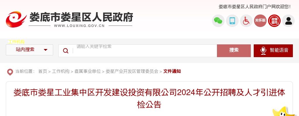 2024年湖南娄底市娄星工业集中区开发建设投资有限公司招聘及人才引进体检公告 图片