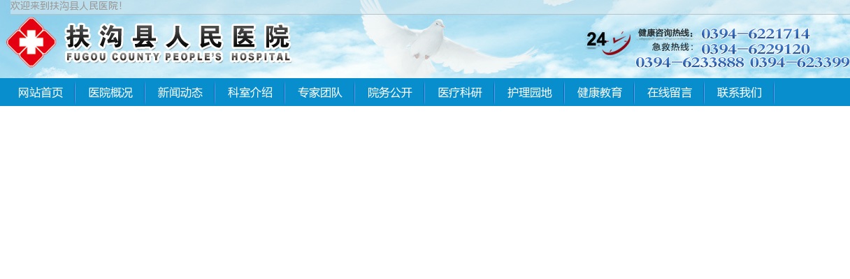 2025河南周口扶沟县人民医院招聘专业技术人员9人实施方案 图片