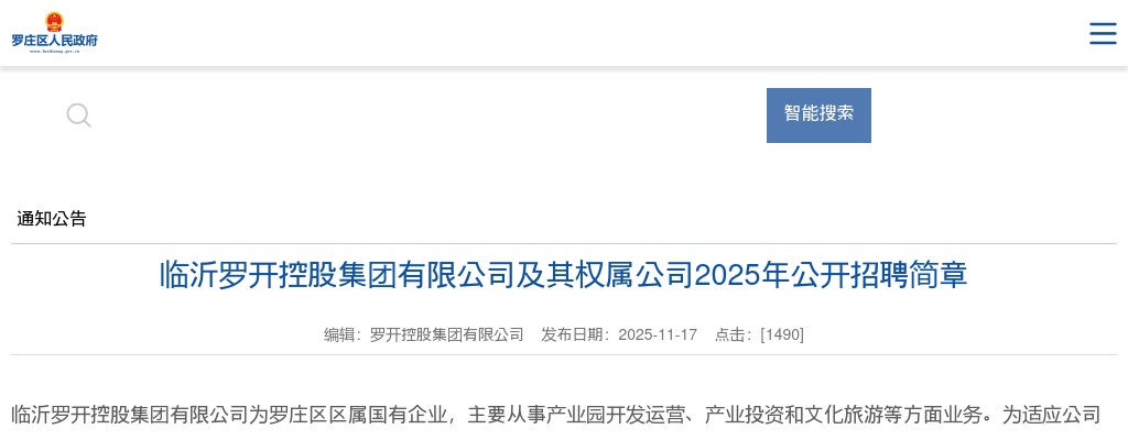 2025年临沂罗开控股集团有限公司及其权属公司公开招聘简章 图片
