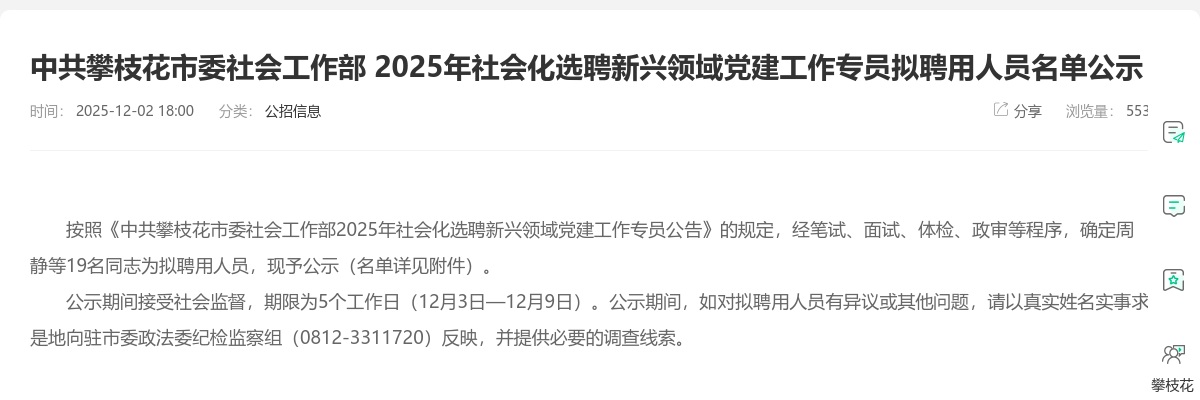 中共攀枝花市委社会工作部 2025年社会化选聘新兴领域党建工作专员拟聘用人员名单公示 图片