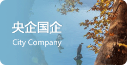 国企央企